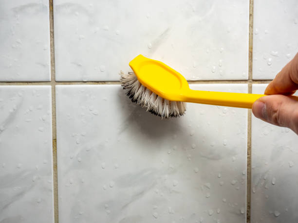 Professional Mold Removal in Pion Hills, CA