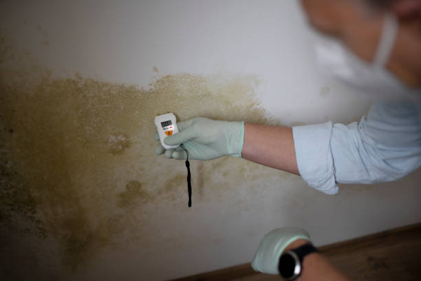 Water Damage Restoration in Pion Hills, CA