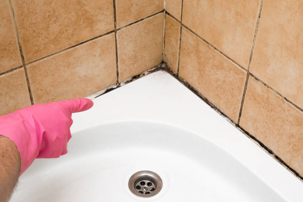 Best Certified Mold Removal  in Pion Hills, CA